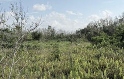 L5311-8 Route 3, Dededo, GU 96929