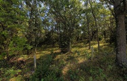 45.86ac County Rd M, Westfield, WI 53964