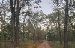 3181 FM 16 E, Tyler, TX 75706