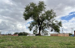 707 Lfd Drive, Littlefield, TX 79339
