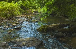Sawmill Hill Road, Willis, VA 24380