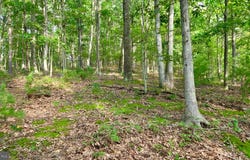 MOSQUITO Road, SIX MILE RUN, PA 16679