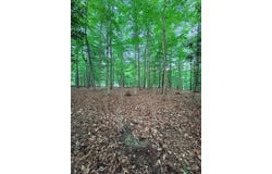 Ledgeview Dr, FAYETTEVILLE, WV 25840