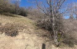 Pine Drive, Cedar Glen, CA 92321