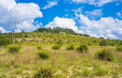 147 Gray Wolf, Blanco, TX 78606