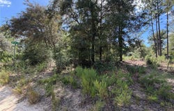 CORNER OF SW 152ND CT & 18TH PLACE, OCALA, FL 34481