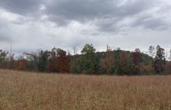 TBD Painters Fork, Frametown, WV 26623