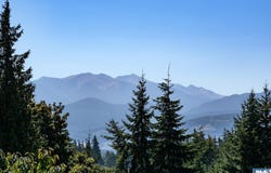 92 Forest Ridge Drive, Sequim, WA 98382-3520