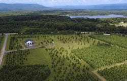 Serenity Ln, Mena, AR 71953