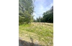 0-Lot 2D Three Creeks Road, Gladys, VA 24554