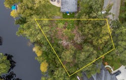 11731 GAIL Drive, TEMPLE TERRACE, FL 33617