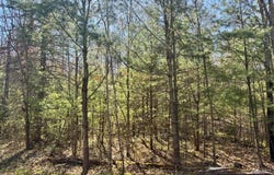 DEER TR lot: 2A, Eagle River, WI 54521