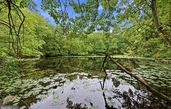 BARNESTON Road, HONEY BROOK, PA 19344