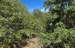 N Pahihi Dr, Bastrop, TX 78602