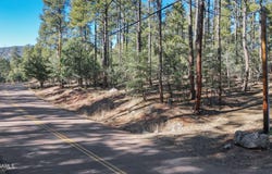 110 W Bradshaw Drive, Pine, AZ 85544