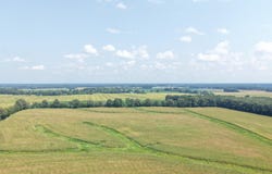 Beech Grove Road, Farmington, KY 42040