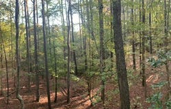 11.770 DAUGHERTY RD, ONANCOCK, VA 23417