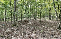 Spring Branch Drive, Haskell, AR 72015