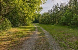 11471 AL-105, Skipperville, AL 36374