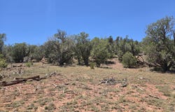 236 W Kings Ranch Road, Ash Fork, AZ 86320
