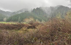 N Fork Rd, Florence, OR 97439