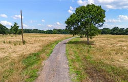 SE 8th Street, Atkins, AR 72823
