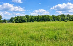 Double S Road, Dayton, TN 37321