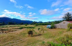 31450 HIGHWAY 101, Hebo, OR 97122