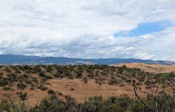 Shaw Lane, Council, ID 83612