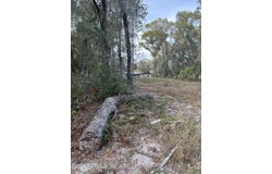 1020 ELM Street, Welaka, FL 32193