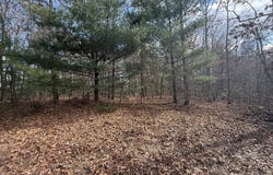 Valerie Dr 10.76 acres, Deer Lodge, TN 37726