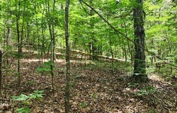 b020 Lakeview Trail, HOLLADAY, TN 38341