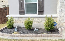 4644 Padula Drive, Round Rock, TX 78665