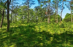 Summit Drive lot: 2, Dahlonega, GA 30533