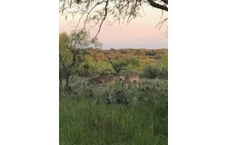 1061 Valley View Spur, Menard, TX 76859