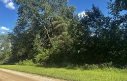 W Ranger Road, Perrinton, MI 48871