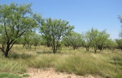 County Road 211, Brookesmith, TX 76827