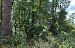 SW 44TH LANE, Jasper, FL 32052