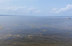 1552 Turtle Head Road, Islesboro, ME 04848