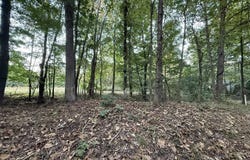 426 H W McPherson Road, Lewisburg, KY 42256