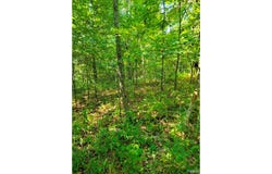 County Hwy 410, Ellington, MO 63638