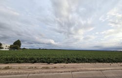 PN-408280 Alameda, Fabens, TX 79838