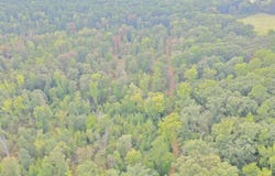Kulp Road, Y City, AR 72926