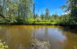 3804 E Wilson Road, Custer, MI 49405