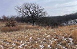 Autumn Rd, Harris, MO 64641