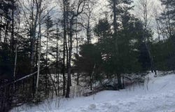 XXX A Locust Rd, Duluth, MN 55803