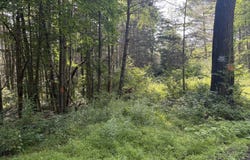 Cresent Road, Gilboa, NY 12076