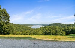 825 CR 40, Gamaliel, AR 72653