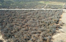 FM 600, Abilene, TX 79601