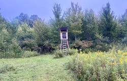 Common Road, Angelica, NY 14709